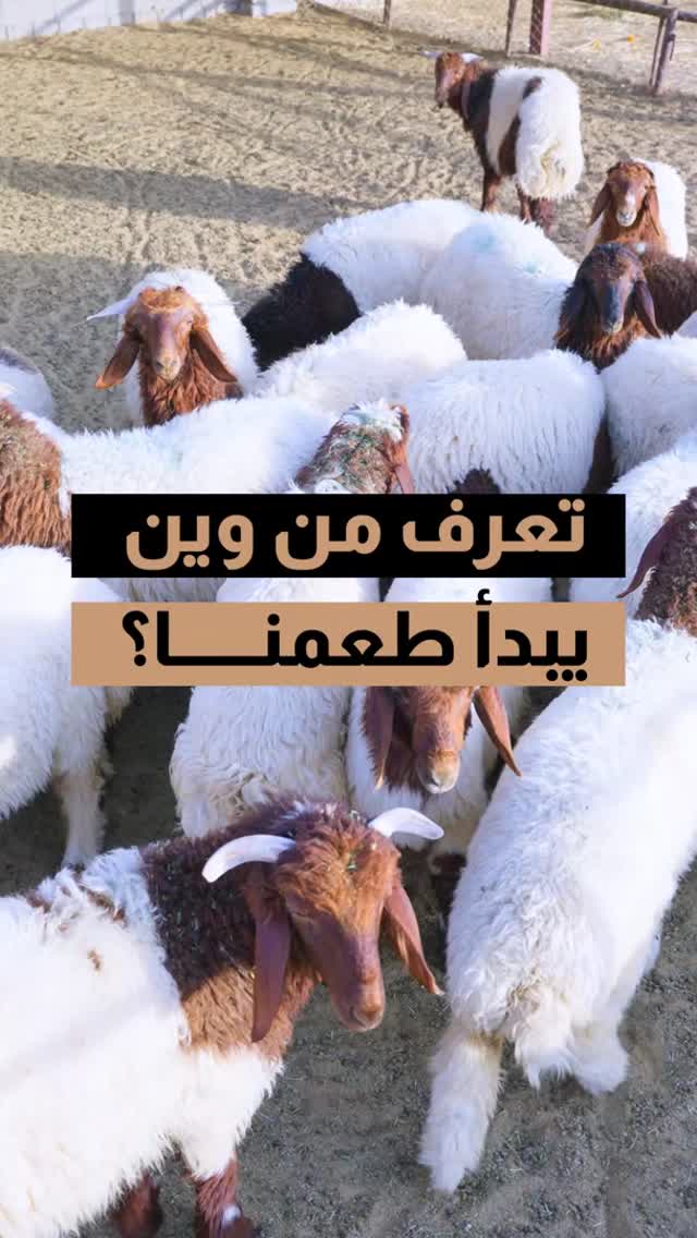 من مزارعنا إلى سفرتكم2